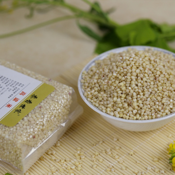 Wholesale First-rate Good quality sorghum rice