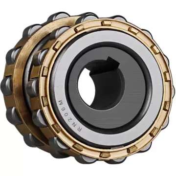 Cycloidal Pin Gear Reducer with Eccentric Bearings: Types RN307M, RN205M, RN206M