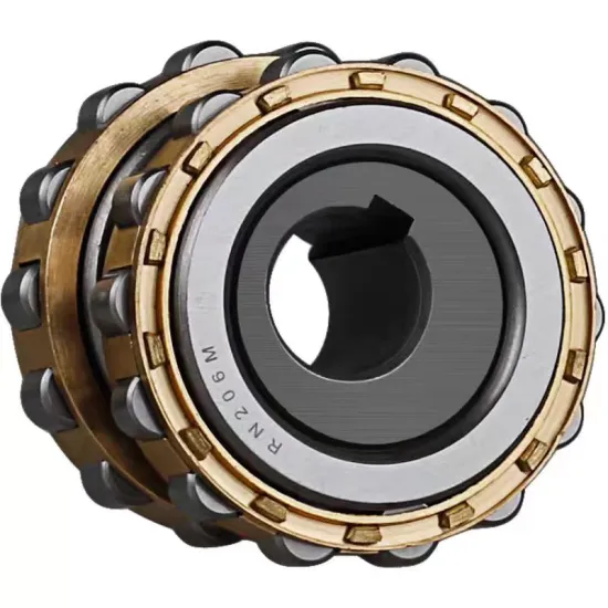 Cycloidal Pin Gear Reducer with Eccentric Bearings: Types RN307M, RN205M, RN206M