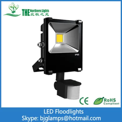 20Watt LED  Floodlights with Philips Lumileds SMD3030