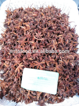 Star Aniseed with stem