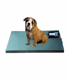 Veterinary Scale
