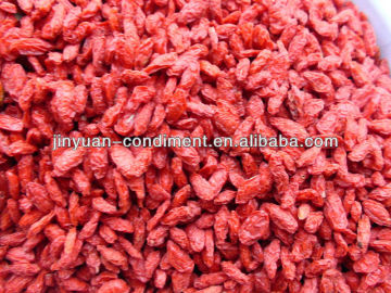 Dried Products Wolfberries
