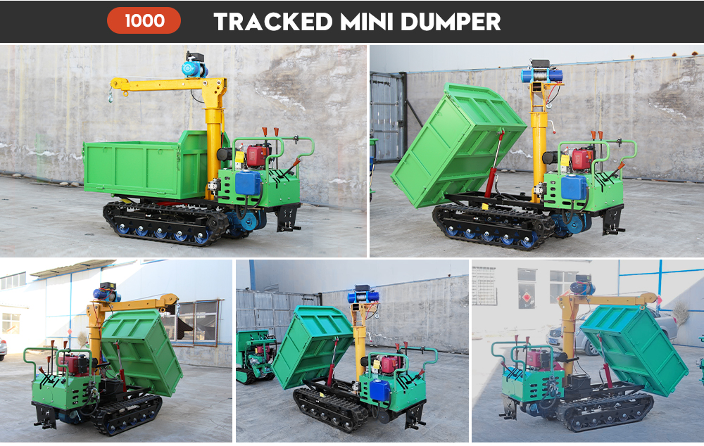 Nuoman Dump Truck Details Page