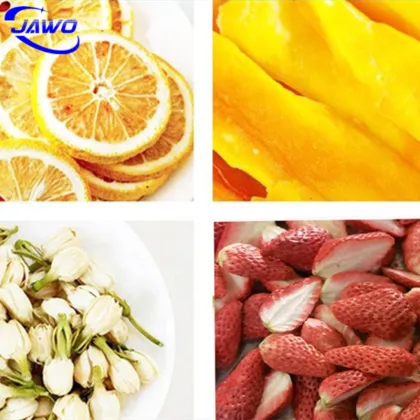 High Efficiency Freeze Dryer Machine Lyophilizer Industrial Freeze Dryer in Philippines