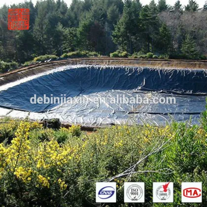 HDPE Gse Geomembrane