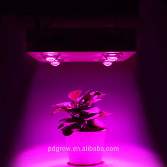 China Lighting COB Led Grow Light 300W 600W 900W 1200W