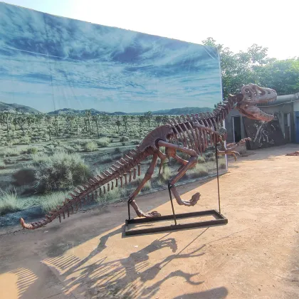 Complete Tyrannosaurus Rex Skeleton Specimens