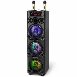 168W Portable Karaoke Party Speaker