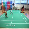 Badminton de vinilo sintético aprobado por BWF