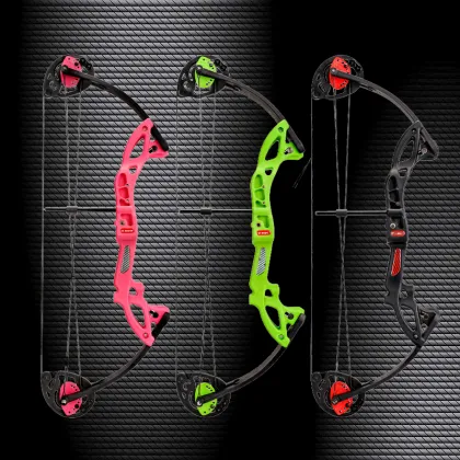 Professional Wooden Bow Archery Recurve Bow and Arrow Game Set for Sale