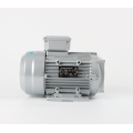 220V AC Motor