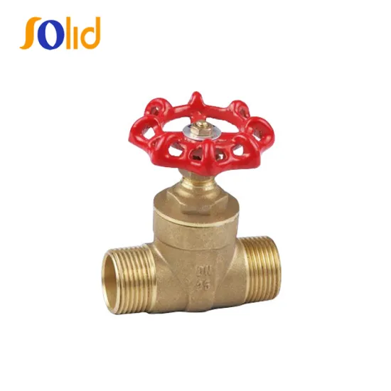 1 Inch Brass Male/Female Connection Gate Valve