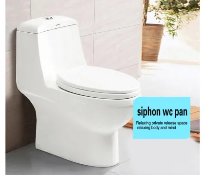 The development of the toilet