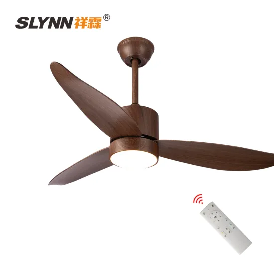 Modern Minimalist 52 Inch DC Motor Household Noiseless BLDC Ceiling Fan with Remote Control