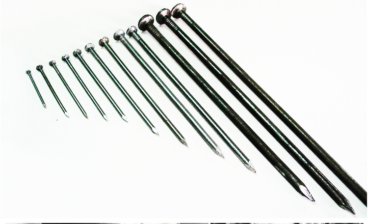 hot selling common nail iron nail factory