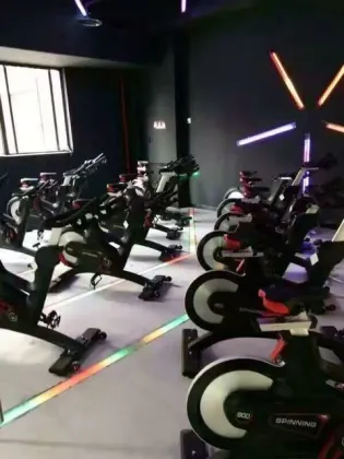 Stepper/Impulse Fitness Equipment/ Commercial Gym Machines