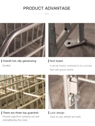Pig Stall and Cage Solutions for Pig Farms