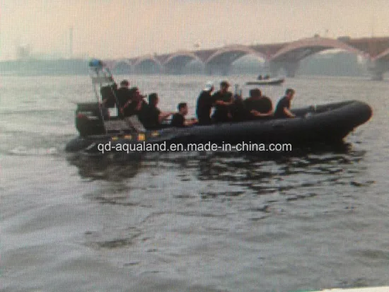 7.3m 24feet Rib Patrol Boat /Patrol Boat/Diving Boat (RIb7300B)