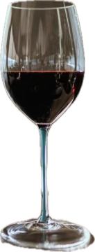 Bordeaux wine glass