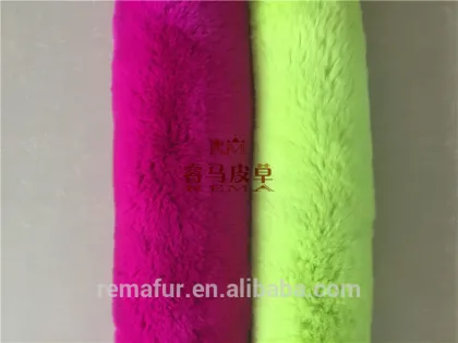 hot selling rex rabbit