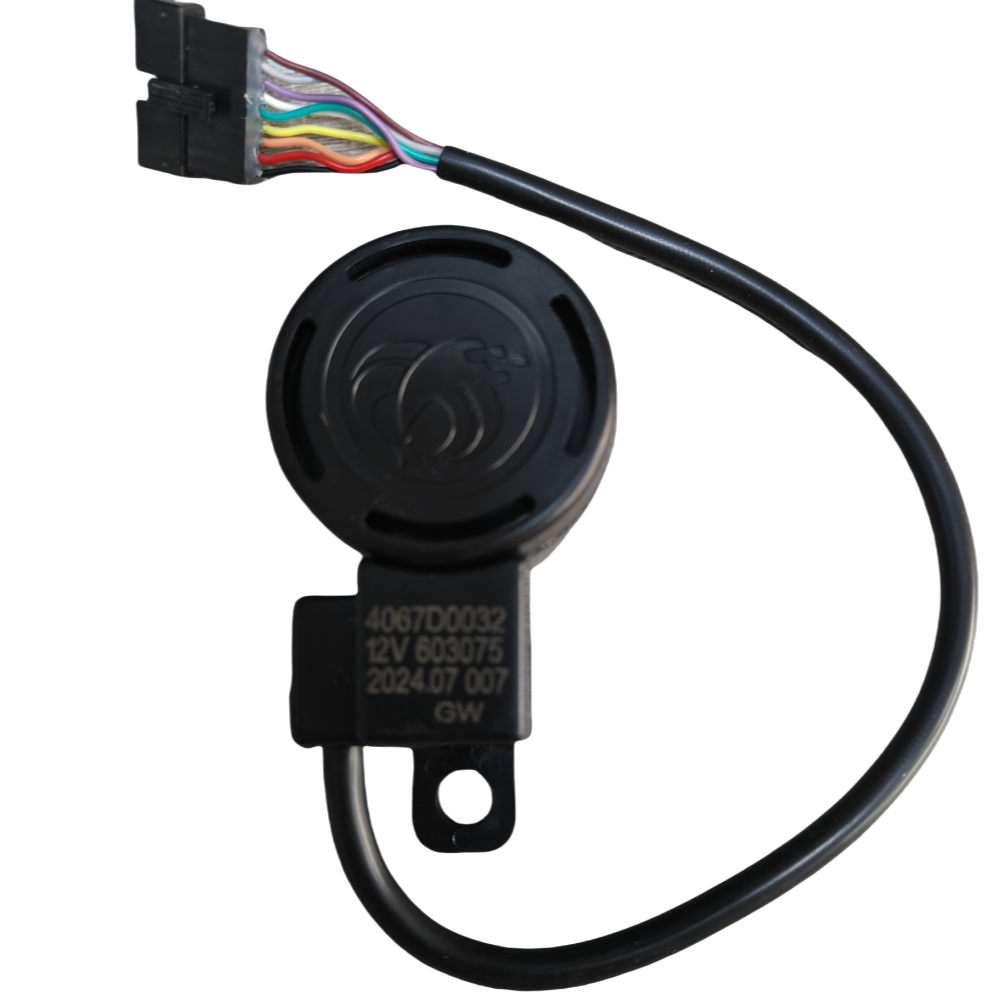 Electric car chord horn