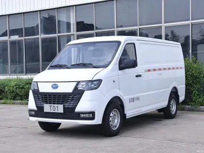 EU Certified Wanxiang T01 Logistics Van for New Energy Cargo Transport