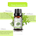 Best Price Pure Organic Thuja Essential Oil for Skin Care