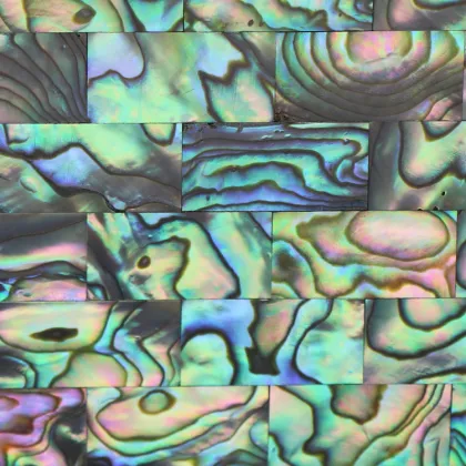 blue Abalone Shell mosaic, natural abalone shell mosaic for banner