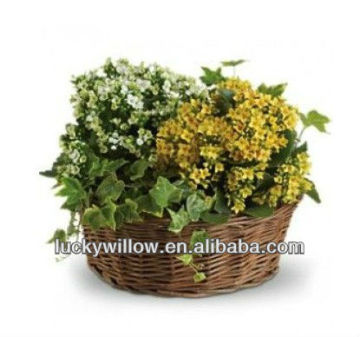 Environmental beautiful willow flower pot rattan modern basket