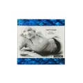 Nouveau Design Paua Shell acrylique Photo Frame de gros