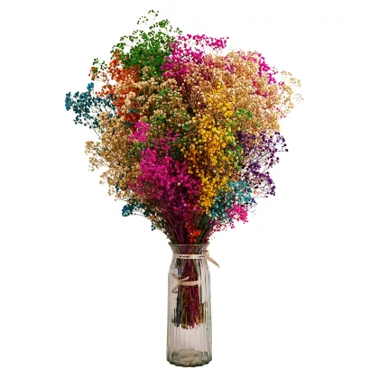 Mingyue Various Colors Dried Gypsophila Babys Breath