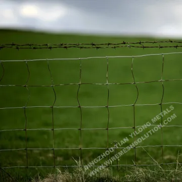 Hot Dipped Galvanized Hinge Knot Field Fence