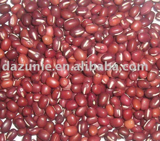 Small Red Beans