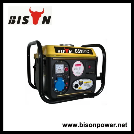 BISON(CHINA)Hot Sale Mini AC Camping Gasoline Generator