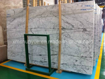 Design Best Cheap Price Marble Slab for Countertop/Tombstone