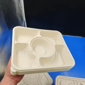 100% pure PLA biodegradable food lunch box