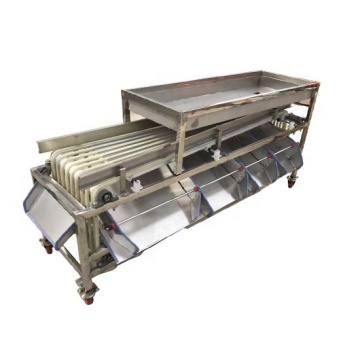 Fruit and Vegetable Grading Machine: Garlic, Onion, Cherries, Potato, Tomato, Lemon, Avocado, and Dates Sorter