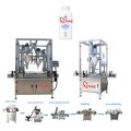 Automatic Dry Powder Filling Machine