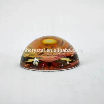 Butterfly Glass dome paperweight MH-F0524
