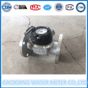 304 di acciaio inossidabile tipo di ala vite watermeter