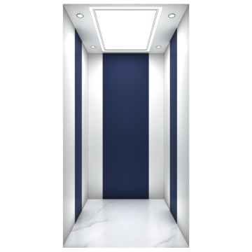 VVVF economic villa elevator