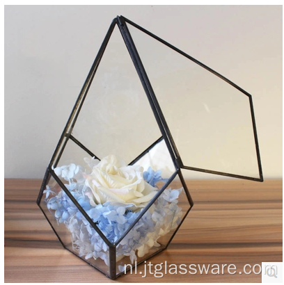 Planten Glas Terrarium Geometrisch Pentagon Varen Mos