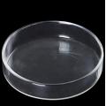 Borosilicate Glass Clear Glass Petri Dishes 75mm