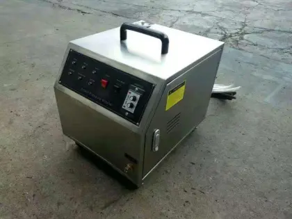 Portable steam cleaning machine for the flexible cleaning