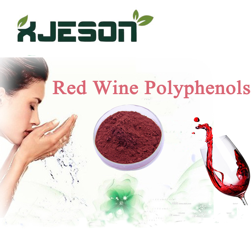 China Supplier New Products Red Wine Polyphenols