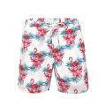 /msite/products/detail/productid/61958027/id/1336775.html