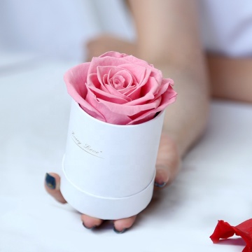 Wholesale Wedding Guest Favors: Christmas Gift Sets with Eternal Forever Preserved Rose Flowers in Box