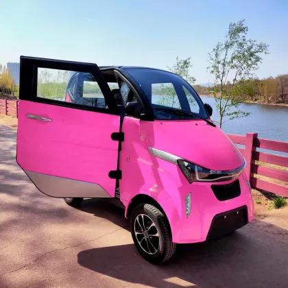 MID Steering New Green Energy Electric Mini Vehicles
