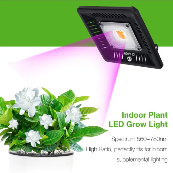 light weight smart design 200w 2pcs cob LED Grow Light For Greenhouse
